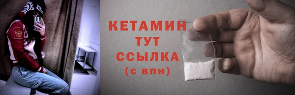крисы Дмитровск