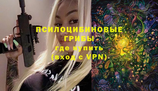 крисы Дмитровск