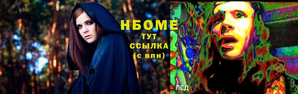 СК Дмитров