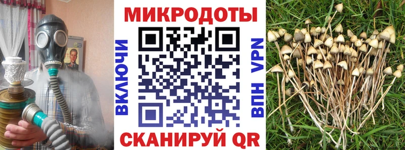 купить  сайты  Славск  ОМГ ОМГ ТОР  Псилоцибиновые грибы Cubensis 