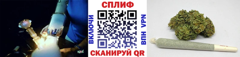 Каннабис ГИДРОПОН Славск